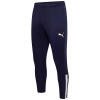 Billericay-Town-FC-YouthEJA-Training-Pants.jpg