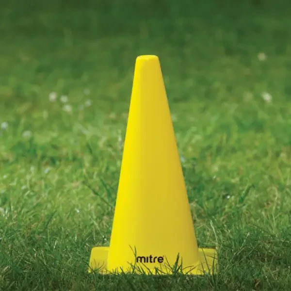 Mitre Cone- 12