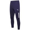 Puma-Team-Liga-25-Training-Pants-Pro-Peacoat.jpg