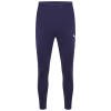 Puma-Team-Liga-25-Training-Pants-Pro-Peacoat-2.jpg