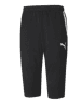 Puma-TeamLIGA-Training-34-pants-Black.png