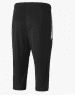 Puma-TeamLIGA-Training-34-pants-Black-2.png