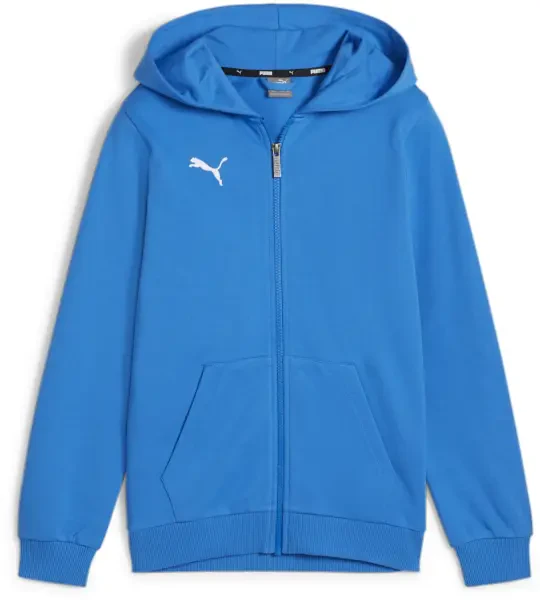 Puma teamGOAL Casuals Hooded Jacket - Ignite Blue