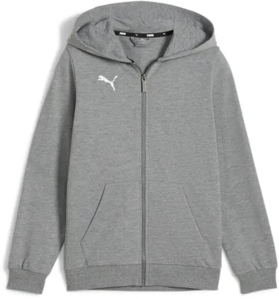 Puma teamGOAL Casuals Hooded Jacket - Medium Grey