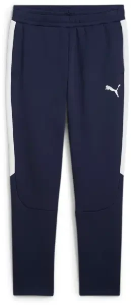 Puma teamEVOSTRIPE Pants - Navy